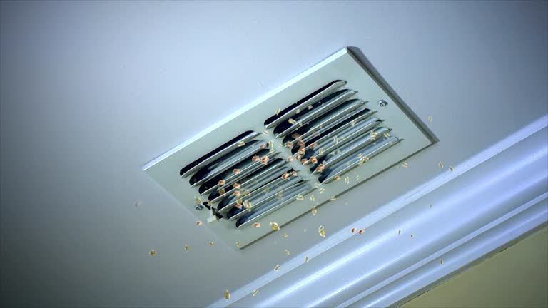 HVAC System Cleaning in NM