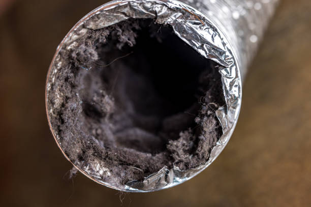 Best Professional Duct Cleaning Services  in North Valley, NM